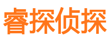 长江新区外遇调查取证